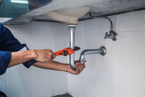 Best Plumbing Inspection Services  in Escatawpa, MS